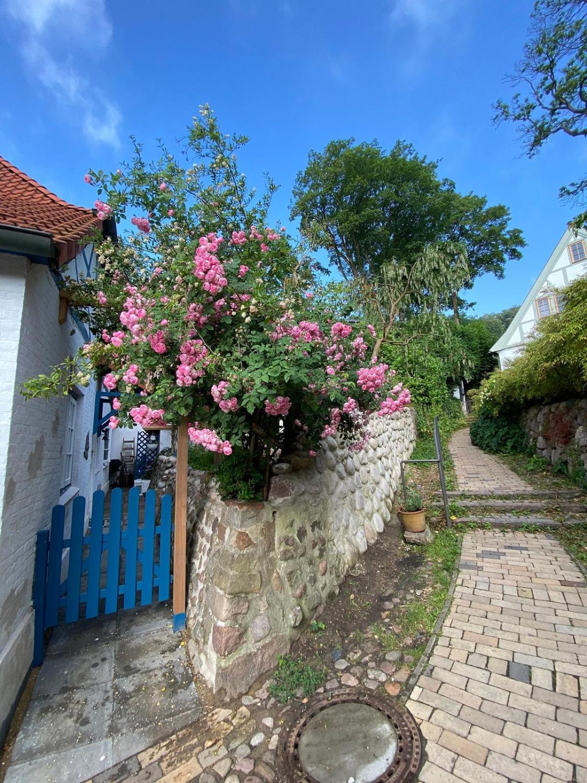 Fischerhaus Blankenese Hamburg Exterior foto